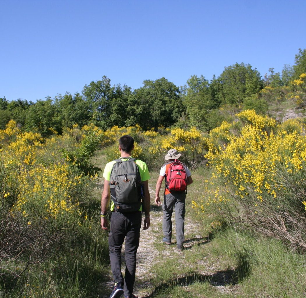 valmontagnana-1-1536x1024 (1)