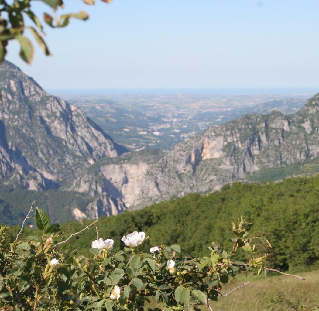 valmontagnana-2-1536x1024 (1)