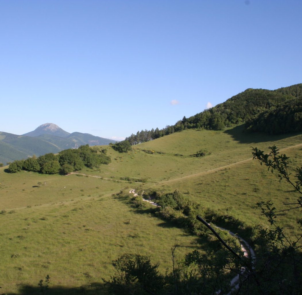 valmontagnana-3-1536x1024 (1)